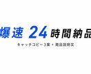 キャッチコピーと商品説明文を高品質で作ります 売れる文章を爆速24時間で作ります！ イメージ1