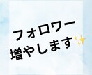 １ヶ月でフォロワー増やします １ヶ月でインスタフォロワー500人増やします！ イメージ1
