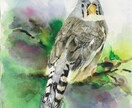 可愛いうちの子小鳥の絵を描きます ペットの似顔絵・肖像画オーダー『まなペットアート』横浜・東京 イメージ1