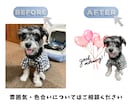 愛犬・愛猫の写真からLINEスタンプ作ります お気に入りの写真で楽しいLINEコミュニケーション イメージ2