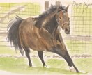 競走馬の水彩画を描きます あなたの好きな競走馬、応援している競走馬