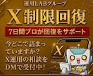 Xインプ制限・シャドウバンの回復対策サポートします 今どこで詰まってますか?X運用のDM相談を受付中! イメージ1