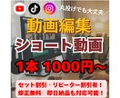 修正無料・即日対応可◎高品質なショート動画作ります 《2本以上がお得》配信経験者の目線で魅せる動画に仕上げます！ イメージ1