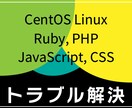 エラー・不具合・動かないを解決サポート致します サーバ Ruby PHP JavaScript CentOS イメージ1