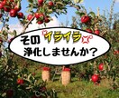 あなたのイライラ浄化します イライラも溜め込まないで。大丈夫。どんなことでも聞くよ。 イメージ1