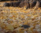 ご要望の写真があれば撮影をしに行って提供致します 一眼レフで撮影した写真を低価格でお譲りします！！ イメージ6