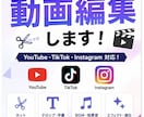YouTube・TikTokの動画編集します カット・テロップ・BGMまで対応します イメージ1