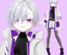 2件限定特価！VTuber一括制作いたします かわいいデザインと綺麗な動き！表情差分４種つき！ イメージ2