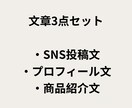 ChatGPTで即日対応の文章を作成します ChatGPTで用途に合わせた文章を作成 イメージ2