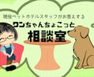 わんちゃんとの生活のお悩みの相談にのります 元動物看護師・現役ペットホテルスタッフと話しませんか？ イメージ1