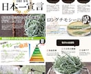 楽天・Yahoo向け｜売れる商品画像を制作します ネット通販の現場で培った、売上につながるデザインをお届け イメージ4
