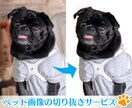 ペット写真の切り抜きを行います 毛の一本一本まで丁寧に作業いたします イメージ1