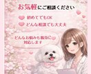 涙やけの原因と対策、丁寧にお伝えします 原因からケア方法まで丁寧にサポート イメージ5