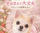 誰にも言えない本音お話しできます 誰にも言えない悩み、安心して話せます イメージ1