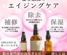 バナー・HPメインビジュアルを制作します SNS・ECサイトなどで一目で伝わるデザインをご提案 イメージ5