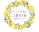 ご質問１件占います 一緒にお悩みにじっくり向き合わせてくださいね( ¨̮ ) イメージ1