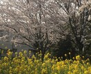 統合失調症のご家族の皆さん、お話お聞きします 学生時代にお子さんが発症したご家族を励ましたいです イメージ1
