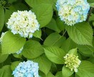 男性限定❤今すぐ話したいあなたに応えます ＊雑談・愚痴・悩み・etc.…秘密のお話し相手❤ イメージ6