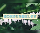 お相手の気持ちを鑑定します お相手の気持ちを知ることで、行動の仕方が丸分かり♡ イメージ1