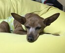 数学って簡単ってこと教えます 数が苦（すうがく）を数楽にします！！！ イメージ1
