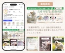 インスタを整え集客につながるアカウントに仕上げます 初めてでも安心の徹底サポート！名刺代わりになるインスタへ イメージ2