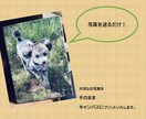 大切な写真を絵画用張りキャンバスにプリントします 大切な家族やペット、思い出の写真をキャンバスに残しませんか。 イメージ1