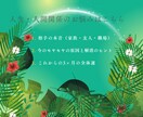 人生運！おせっかい妖精が運勢全体をカードで占います 心の奥に眠る願いと可能性を、そっと照らす運命ストーリー イメージ2