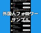 Xツイッター外国人フォロワーを1000人増やします 【最安】X(旧ツイッター)の外国人1000人増加ほぼ減少なし イメージ5