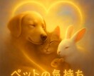ペットからのメッセージをあなたへ言葉で届けます 魂の声を読むアニマルコミュニケーションで愛のメッセージお届け イメージ2