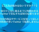 毎日100RT！14日間ツイートを拡散します 14ツイートすべて100RT、いいねされるまで期間延長します イメージ4