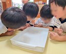 ホタルの専門家が飼育・生態の疑問にお答えしますます ホタルの飼育・生態・環境づくりまで、お気軽にご相談ください。 イメージ8