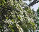 誰にも話せない悩みを否定せず30分お聴きします 話すだけで頭が整理され確実に次の一歩が見えます イメージ4