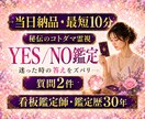 最短10分　質問２つ　YES/NO　一言鑑定します 即日対応　看板鑑定師 秘伝のコトダマ霊視　迷いを解決 イメージ1