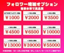Instagram日本人フォロワー指定可増加します 法人会社｜3万人まで対応可｜インスタグラム活用PDF付き イメージ3