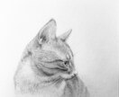 動物・人・静物など、鉛筆画承ります アイコン・ヘッダー、広告・宣伝、挿絵・表紙、Webサイトなど イメージ3