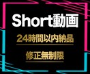 最短翌日納品します ポートフォリオを作るために限定で5件格安でお受けします イメージ1
