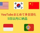 YouTubeチャンネルを丸ごと多言語化いたします 英語・中国語・韓国語など、５ヶ国語字幕で世界進出をサポート！ イメージ1