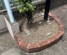 家の修理・DIYのやり方をチャットでサポートします 初心者でも失敗しないDIYのやり方をプロが教えます イメージ1