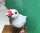 バードカービング します 小鳥やお気に入りの野鳥を木で彫ります イメージ7