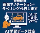 AI画像アノテーション・ラベリング代行します 実務経験あり／丁寧＆正確／秘密厳守／小ロット大歓迎 イメージ1