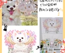 ペットの似顔絵イラスト描きます デジタルイラストで色褪せないイラストを厚塗りで イメージ1