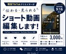 あなたに合わせたSNS向けショート動画を編集します TikTokクリエイターが、見られるショート動画を制作します イメージ1