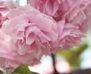 1人じゃないよ…！とことんお話し聞きます 現役介護士、私が優しく親身に寄り添います！ イメージ2