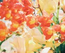 1日1組限定◇共鳴透視で二人の最終関係を暴きます 視えるのは「3ヶ月後の景色」。魂の絆が導く二人の未来地図 イメージ4