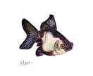 程よくリアルで暖かみのあるイラスト描きます 商用案件から個人観賞用まで 生き物を中心に描きます イメージ1