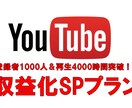 登録1000人＆4000時間＋ライセンス付与します 収益化条件突破後に格安でプロモーションを継続できる新プラン！ イメージ1