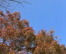 人には言えない悩み聞きます 無関係な人だからこそ言える本音に寄り添う イメージ1
