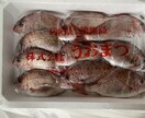 鮮魚の捌き方、選び方、仕入れ方教えます 今日からお魚を食卓に取り入れましょう イメージ4