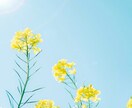 お悩みに寄り添い、エネルギーを繋げて視ていきます 不安や心配になったらいつでも来てください♡ イメージ4