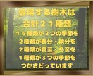 生まれたお日にちであなたの「トリセツ」作ります 日本ではまだ馴染みのない誕生木占い◇ひとつ試してみませんか？ イメージ4